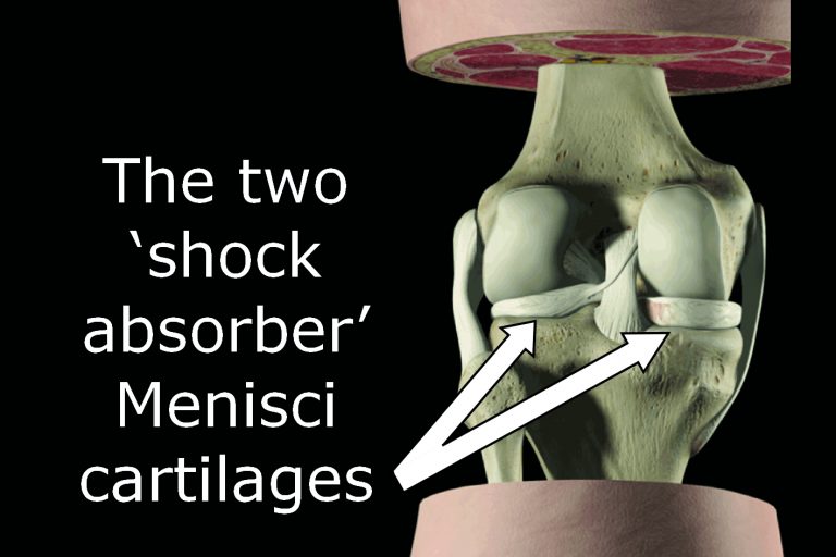 Knee Pain Solutions to Common Problems dannywallisPT